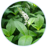 8846����˹(�й�)�ɷ����޹�˾