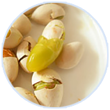 8846����˹(�й�)�ɷ����޹�˾