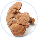 8846����˹(�й�)�ɷ����޹�˾