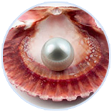 8846����˹(�й�)�ɷ����޹�˾